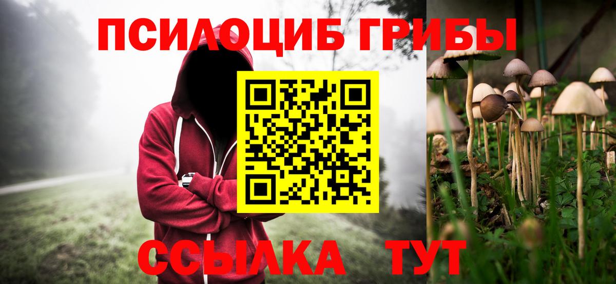 Галлюциногенные грибы MAGIC MUSHROOMS  Галлюциногенные грибы Psilocybe  Луга  Вход с VPN 