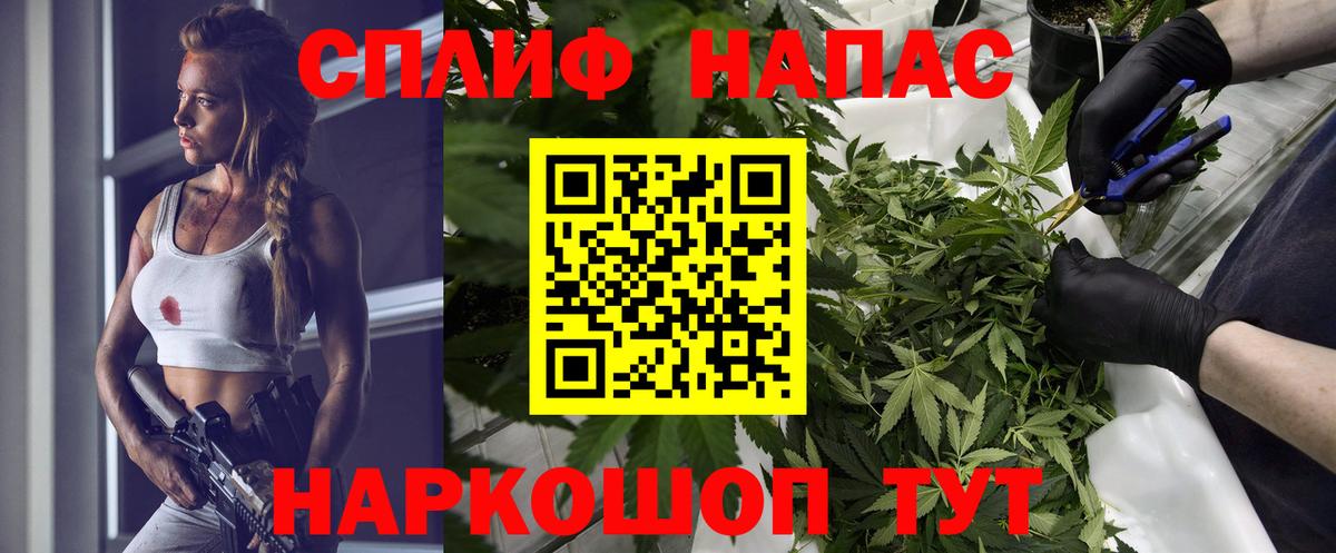 Конопля планчик Луга